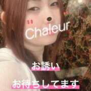 ヒメ日記 2025/06/13 16:19 投稿 千宏(ちひろ) Chaleur (シャルール)