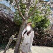 ヒメ日記 2025/04/12 01:50 投稿 七星あすか Finemotion