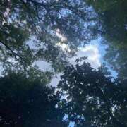 ヒメ日記 2025/08/14 14:07 投稿 とわ スケベ痴女くらぶDOGU