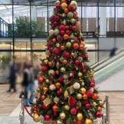 ヒメ日記 2025/12/15 13:20 投稿 とわ スケベ痴女くらぶDOGU