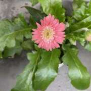 ヒメ日記 2025/08/14 14:09 投稿 ここ 人妻マル秘伝説