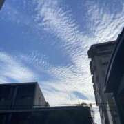 ヒメ日記 2025/09/01 13:06 投稿 ここ 人妻マル秘伝説