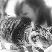 いぶき うちの子たち🐈‍⬛🐀◯ 大宮baton