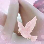 ヒメ日記 2025/02/28 23:49 投稿 後藤(ごとう) 八王子人妻城