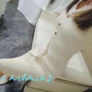 ヒメ日記 2025/04/24 21:48 投稿 後藤(ごとう) 八王子人妻城