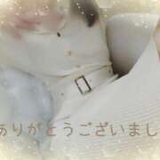 ヒメ日記 2025/04/28 18:33 投稿 後藤(ごとう) 八王子人妻城