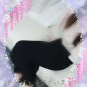 ヒメ日記 2025/06/21 16:18 投稿 後藤(ごとう) 八王子人妻城