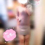 ヒメ日記 2025/03/15 12:21 投稿 ねね マツタケヒロシ