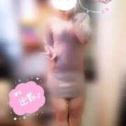 ヒメ日記 2025/03/15 12:28 投稿 ねね マツタケヒロシ