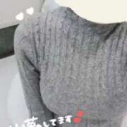 ヒメ日記 2025/03/22 12:18 投稿 ねね マツタケヒロシ