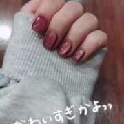 ヒメ日記 2025/04/13 23:18 投稿 ねね マツタケヒロシ