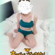 ヒメ日記 2025/04/14 15:46 投稿 ねね マツタケヒロシ