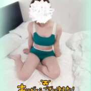 ヒメ日記 2025/04/14 16:02 投稿 ねね マツタケヒロシ