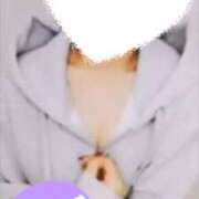 ヒメ日記 2025/04/15 12:08 投稿 ねね マツタケヒロシ