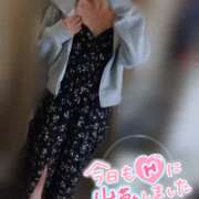 ヒメ日記 2025/04/30 11:48 投稿 ねね マツタケヒロシ