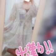 ヒメ日記 2025/05/10 11:43 投稿 ねね マツタケヒロシ