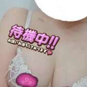 ヒメ日記 2025/05/14 20:15 投稿 ねね マツタケヒロシ