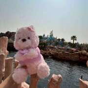 ヒメ日記 2025/05/14 23:22 投稿 ねね マツタケヒロシ