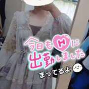 ヒメ日記 2025/05/16 11:58 投稿 ねね マツタケヒロシ