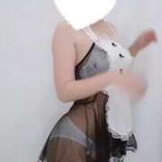 ヒメ日記 2025/05/28 17:43 投稿 ねね マツタケヒロシ