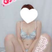 ヒメ日記 2025/05/29 17:52 投稿 ねね マツタケヒロシ