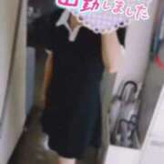 ヒメ日記 2025/06/08 13:03 投稿 ねね マツタケヒロシ