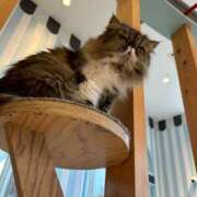 ヒメ日記 2025/06/27 23:05 投稿 ねね マツタケヒロシ