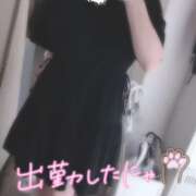 ヒメ日記 2025/07/03 12:55 投稿 ねね マツタケヒロシ