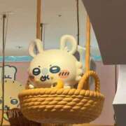 ヒメ日記 2025/07/29 21:34 投稿 ねね マツタケヒロシ