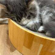 ヒメ日記 2025/08/21 14:49 投稿 ねね マツタケヒロシ