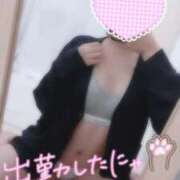 ヒメ日記 2025/08/26 13:49 投稿 ねね マツタケヒロシ