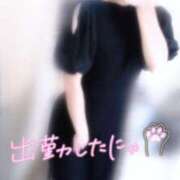 ヒメ日記 2025/09/05 16:28 投稿 ねね マツタケヒロシ