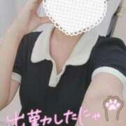 ヒメ日記 2025/09/07 13:33 投稿 ねね マツタケヒロシ