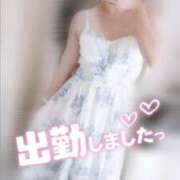 ヒメ日記 2025/09/11 13:08 投稿 ねね マツタケヒロシ