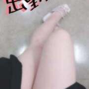 ヒメ日記 2025/09/15 12:45 投稿 ねね マツタケヒロシ