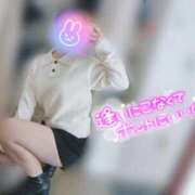 ヒメ日記 2025/11/11 14:18 投稿 ねね マツタケヒロシ