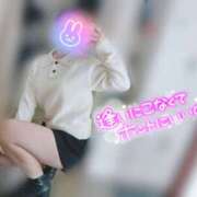 ヒメ日記 2025/11/11 14:23 投稿 ねね マツタケヒロシ