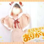 ヒメ日記 2025/12/16 23:42 投稿 ねね マツタケヒロシ