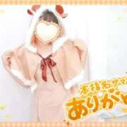 ヒメ日記 2025/12/16 23:51 投稿 ねね マツタケヒロシ