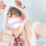 ヒメ日記 2025/12/19 14:31 投稿 ねね マツタケヒロシ