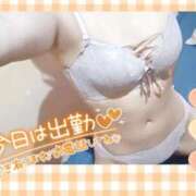 ヒメ日記 2026/01/31 14:34 投稿 ねね マツタケヒロシ