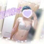 ヒメ日記 2026/02/05 10:11 投稿 ねね マツタケヒロシ