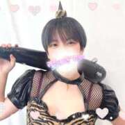 ヒメ日記 2026/02/09 08:21 投稿 ねね マツタケヒロシ