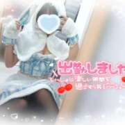 ヒメ日記 2026/03/08 13:44 投稿 ねね マツタケヒロシ