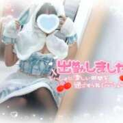 ヒメ日記 2026/03/08 13:51 投稿 ねね マツタケヒロシ