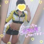 ヒメ日記 2026/03/28 14:31 投稿 ねね マツタケヒロシ