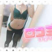 ヒメ日記 2026/04/06 18:17 投稿 ねね マツタケヒロシ