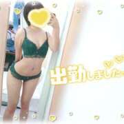 ヒメ日記 2026/07/06 11:41 投稿 ねね マツタケヒロシ