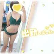 ヒメ日記 2026/07/06 11:47 投稿 ねね マツタケヒロシ