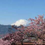 ヒメ日記 2025/03/05 08:21 投稿 美羽 綾乃 東京貴楼館